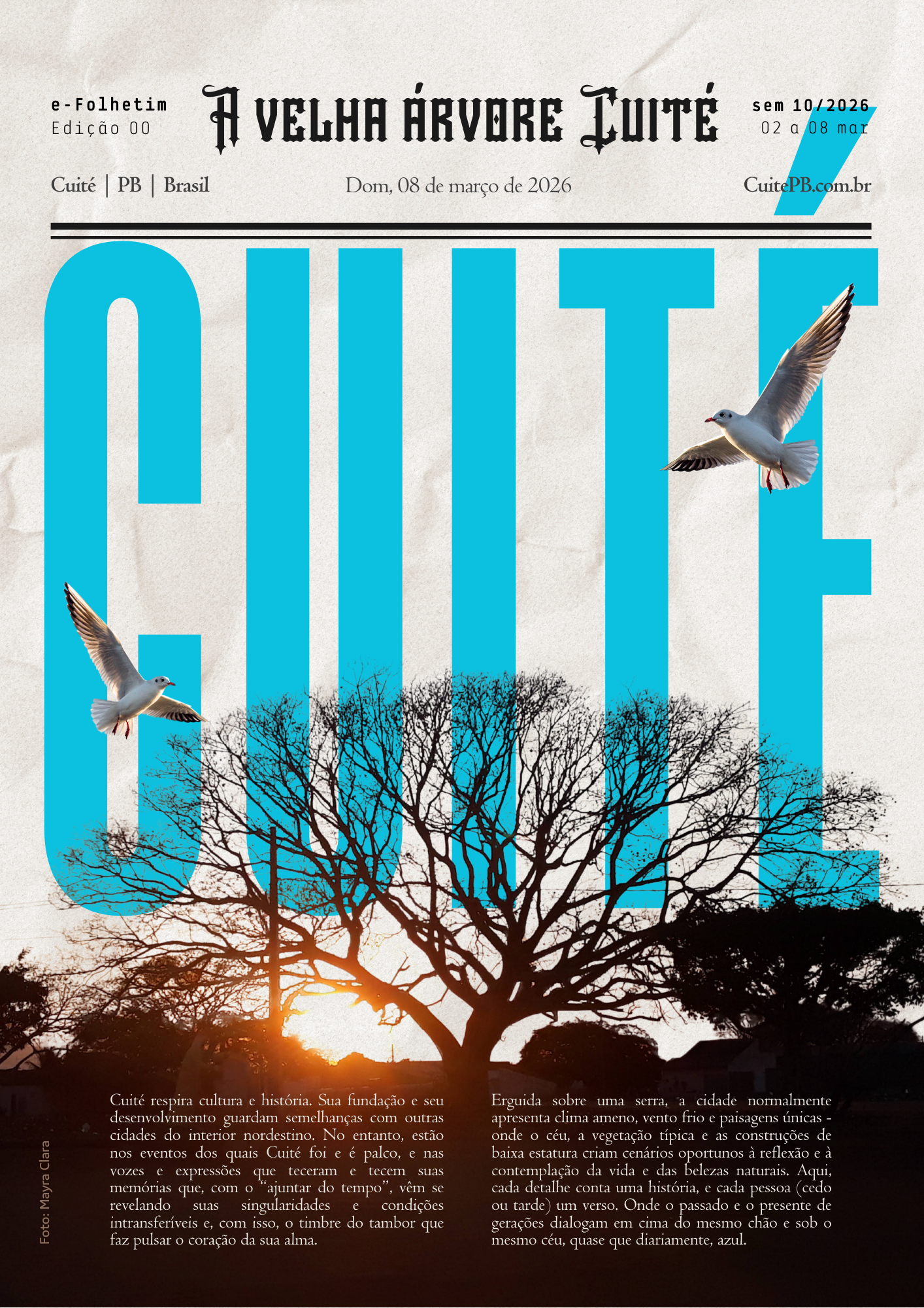 e-Folhetim “A velha árvore Cuité”